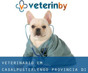 veterinário em Casalpusterlengo (Provincia di Lodi, Lombardy)