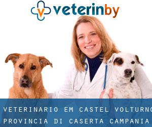 veterinário em Castel Volturno (Provincia di Caserta, Campania)