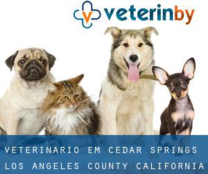veterinário em Cedar Springs (Los Angeles County, California)