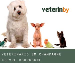 veterinário em Champagne (Nièvre, Bourgogne)
