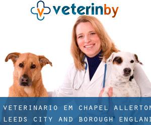 veterinário em Chapel Allerton (Leeds (City and Borough), England)