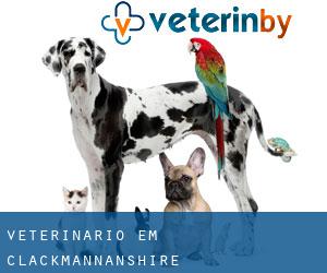 veterinário em Clackmannanshire