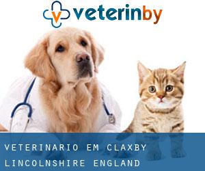 veterinário em Claxby (Lincolnshire, England)