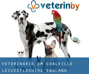 veterinário em Coalville (Leicestershire, England)