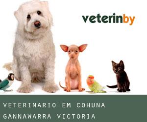 veterinário em Cohuna (Gannawarra, Victoria)