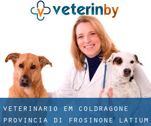 veterinário em Coldragone (Provincia di Frosinone, Latium)