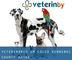 veterinário em Coles (Kennebec County, Maine)