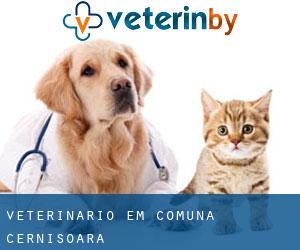 veterinário em Comuna Cernişoara