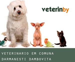 veterinário em Comuna Dărmăneşti (Dâmboviţa)