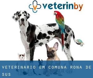 veterinário em Comuna Rona de Sus