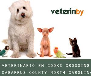 veterinário em Cooks Crossing (Cabarrus County, North Carolina)