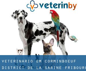 veterinário em Corminboeuf (District de la Sarine, Fribourg)