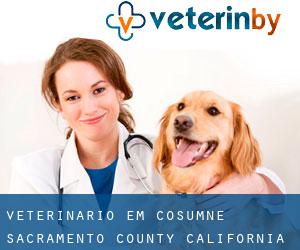 veterinário em Cosumne (Sacramento County, California)