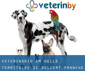 veterinário em Delle (Territoire de Belfort, Franche-Comté)