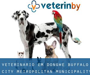 veterinário em Dongwe (Buffalo City Metropolitan Municipality, Eastern Cape)