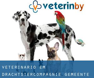 veterinário em Drachtstercompagnie (Gemeente Smallingerland, Friesland)