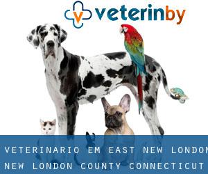 veterinário em East New London (New London County, Connecticut)