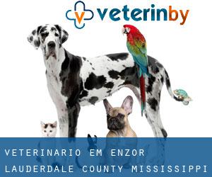 veterinário em Enzor (Lauderdale County, Mississippi)