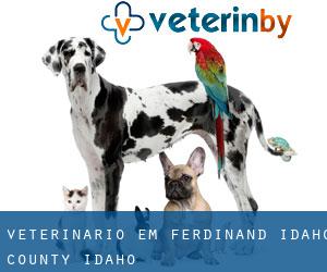 veterinário em Ferdinand (Idaho County, Idaho)