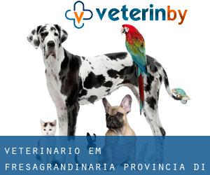 veterinário em Fresagrandinaria (Provincia di Chieti, Abruzzo)