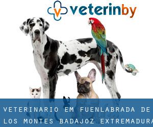 veterinário em Fuenlabrada de los Montes (Badajoz, Extremadura)