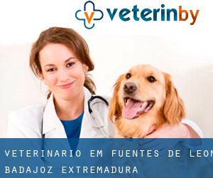 veterinário em Fuentes de León (Badajoz, Extremadura)