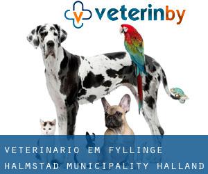 veterinário em Fyllinge (Halmstad Municipality, Halland)