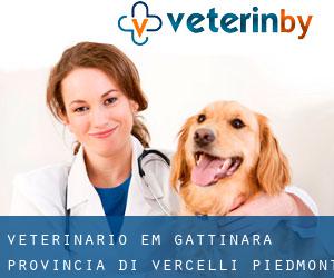veterinário em Gattinara (Provincia di Vercelli, Piedmont)