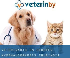 veterinário em Gehofen (Kyffhäuserkreis, Thuringia)