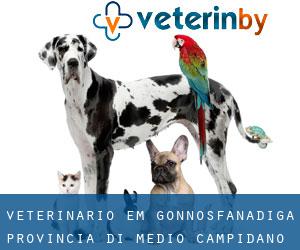 veterinário em Gonnosfanadiga (Provincia di Medio Campidano, Sardinia)