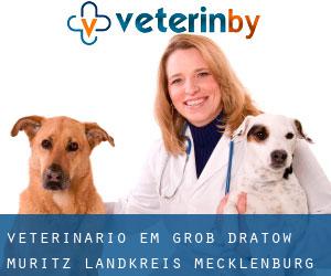 veterinário em Groß Dratow (Müritz Landkreis, Mecklenburg-Western Pomerania)