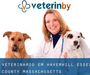 veterinário em Haverhill (Essex County, Massachusetts)