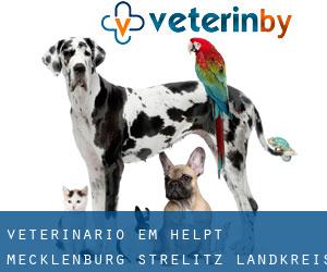 veterinário em Helpt (Mecklenburg-Strelitz Landkreis, Mecklenburg-Western Pomerania)