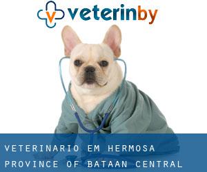 veterinário em Hermosa (Province of Bataan, Central Luzon)