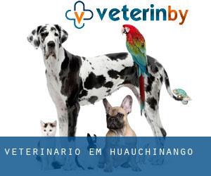 veterinário em Huauchinango