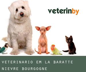 veterinário em La Baratte (Nièvre, Bourgogne)