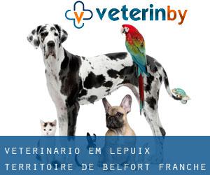 veterinário em Lepuix (Territoire de Belfort, Franche-Comté)