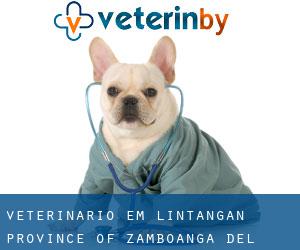 veterinário em Lintangan (Province of Zamboanga del Norte, Zamboanga Peninsula)