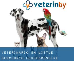 veterinário em Little Dewchurch (Herefordshire, England)
