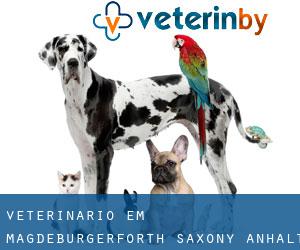 veterinário em Magdeburgerforth (Saxony-Anhalt)