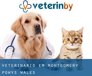 veterinário em Montgomery (Powys, Wales)