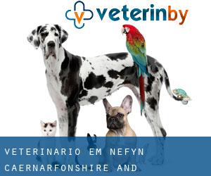 veterinário em Nefyn (Caernarfonshire and Merionethshire, Wales)