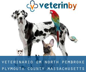 veterinário em North Pembroke (Plymouth County, Massachusetts)