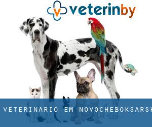veterinário em Novocheboksarsk