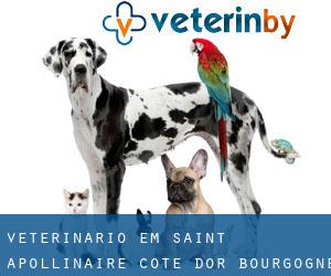 veterinário em Saint-Apollinaire (Cote d'Or, Bourgogne)