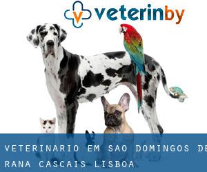 veterinário em São Domingos de Rana (Cascais, Lisboa)
