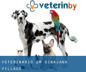 veterinário em Sinajana Village