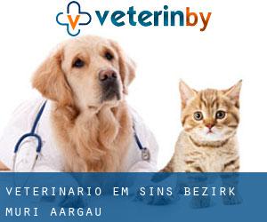 veterinário em Sins (Bezirk Muri, Aargau)