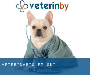 veterinário em Ski