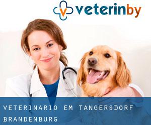 veterinário em Tangersdorf (Brandenburg)